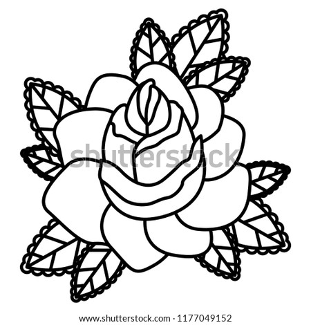 Isolated rose flower design