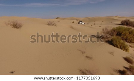 cars drive through the desert