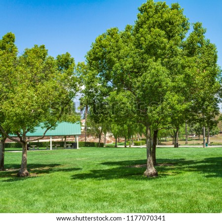 Surburan park in California with green trees, grass, and clear blue sky