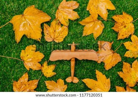 Golden autumn maple leaves and wooden plane on green grass. Above view