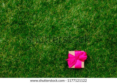 Beautiful gift box with pink bow on green grass. Above view