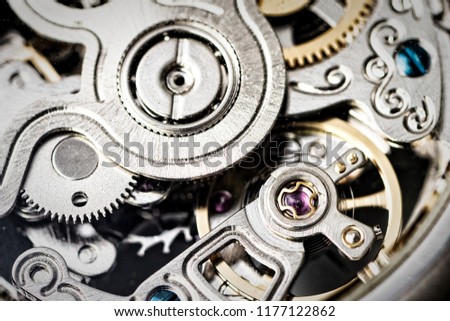 Inside a vintage watch machinery macro