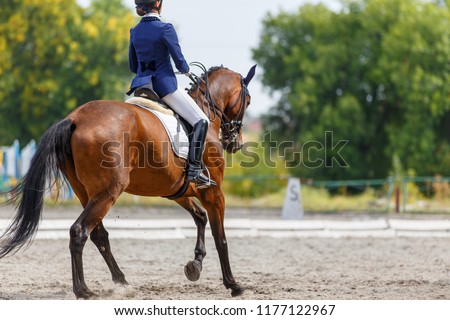 Young girl on bay horse performing her dressage test Royalty-Free Stock Photo #1177122967