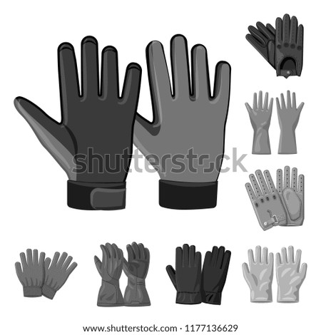 Vector illustration of glove and winter symbol. Set of glove and equipment stock vector illustration.