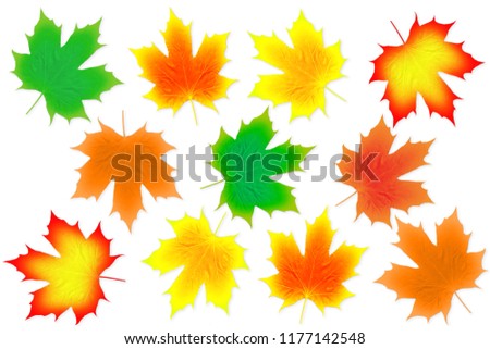 autumn fall colored leaves texture on white background for nature concept fall concept autumn concept