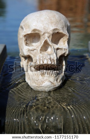 Human Skull in a Water Fountain. Water Fountain with a Halloween Scary Scull. laughing skull.