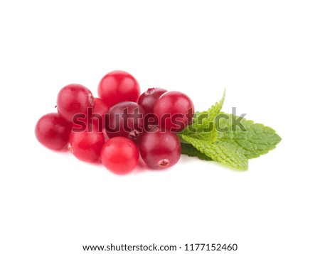 cranberries and mint. Ripe red cranberries, isolated on white