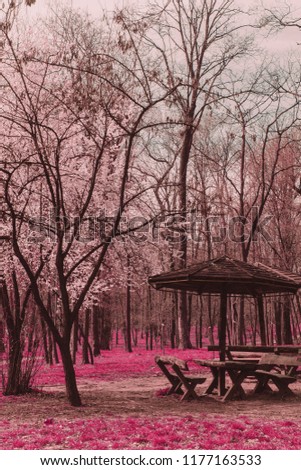 Infrared park and forest