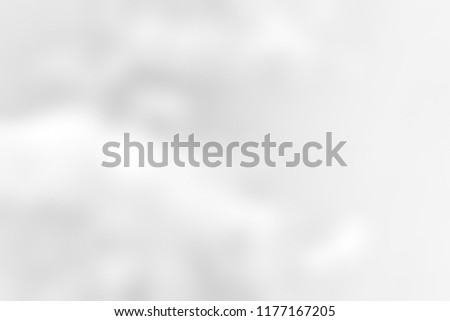 Black and white blur background. Fine tinted light gray surface. Gray and white.