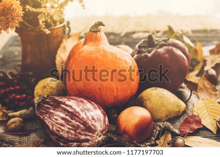Happy Thanksgiving concept. Beautiful Pumpkin in light, vegetables on bright autumn leaves, acorns, nuts on wooden rustic table. Hello Autumn. Fall season greeting card. Atmospheric image