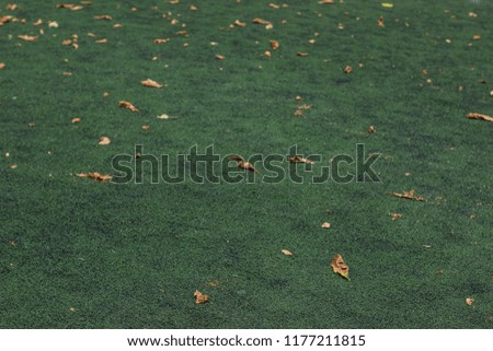 soft focus synthetic green grass background texture in autumn time with many falling leaves and empty copy space