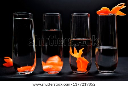 Looking at distorted goldfish toys through glass filled with liquid                        