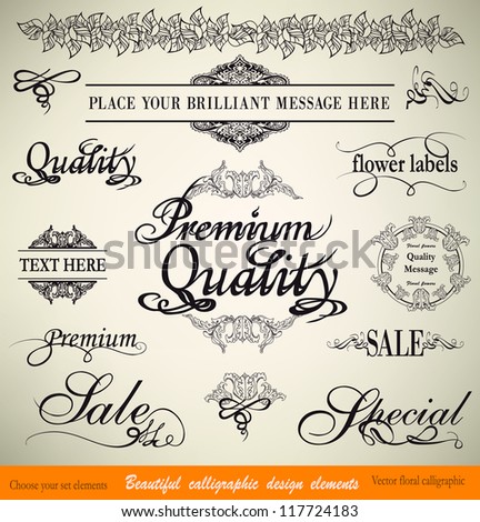 vector set: calligraphic floral  design elements and page decoration - lots of useful elements to embellish your layout