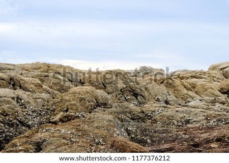 reef is a group of rocks or coral or a ridge of sand at near water surface blue sky background