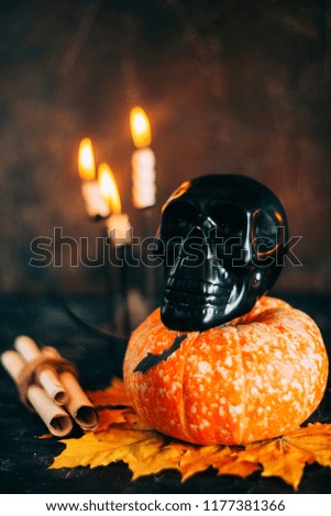Postcard, Halloween background: pumpkins, candles, bats on dark background