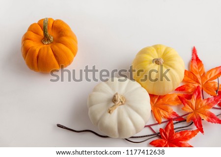 Pumpkins with leaves on the white table