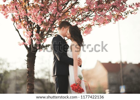 Stylish Loving wedding couple kissing and hugging near tree with blossoms