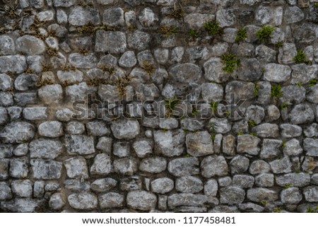 Ancient stone wall made with grey bricks background also with plants growing. Usable as wallpaper