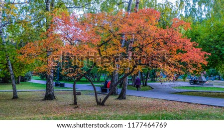 fall colors in the Park