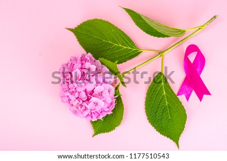 Pink ribbon symbol  awareness of breast cancer. Studio Photo