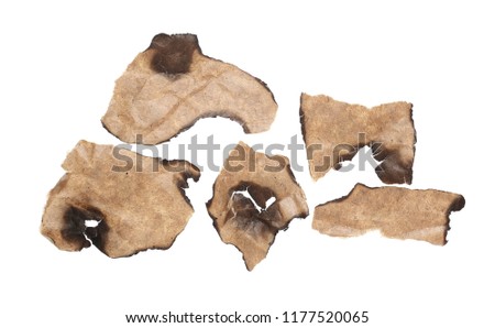 Burned and charred paper, cardboard scraps isolated on white background with clipping path, top view