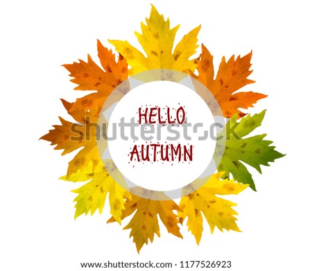 Autumn calligraphy lettering for web banner template. Autumn design for shopping banner