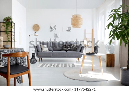 Wooden chair at table in white living room interior with grey settee against the wall with posters. Real photo