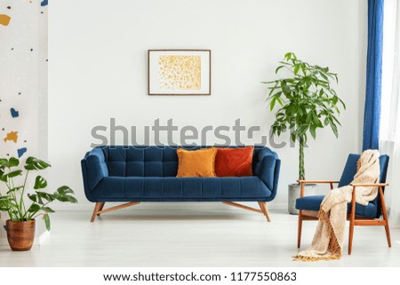Mid-century modern chair with a blanket and a large sofa with colorful cushions in a spacious living room interior with green plants and white walls. Real photo. Royalty-Free Stock Photo #1177550863