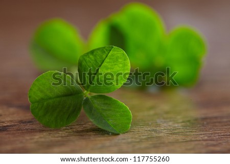 leaf clover on wood background