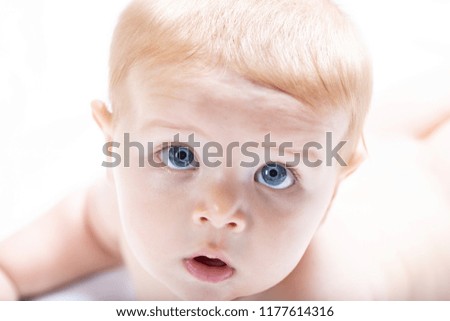 Blond baby boy with big blue eyes staring up into the camera with fascination in a high key close up cropped portrait of the face