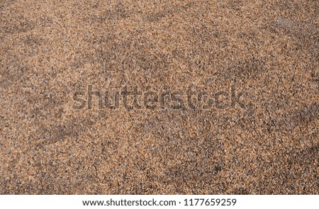 sand in the city park. texture. background