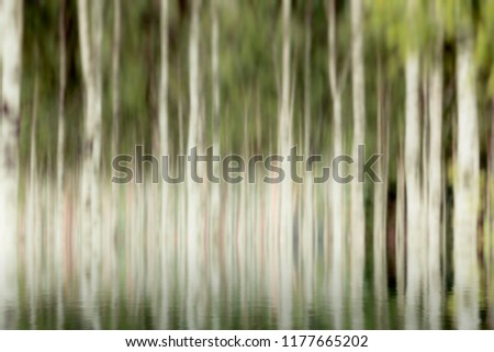 Abstract and blurred image of trees