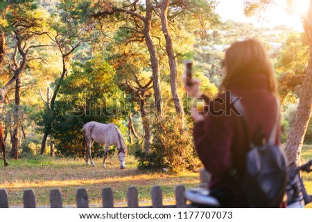 Girl takes pictures of a horse on a smartphone