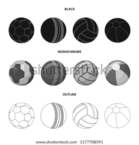 Vector design of sport and ball icon. Collection of sport and athletic stock symbol for web.