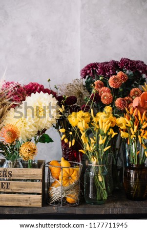 Beautiful autumn seasonal flowers at the florist shop: Dahlia, hydrangea, oriental peppers, pumpkins in orange and burgundy on the grey wall background 