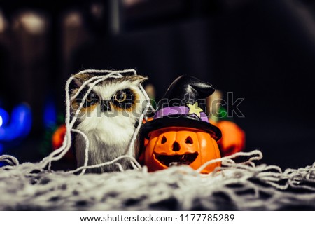Halloween Pumpkins and Owl on black background, Halloween concepts, Happy Halloween Days, Copy space.