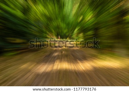 Forest road creatively photographed with distortions