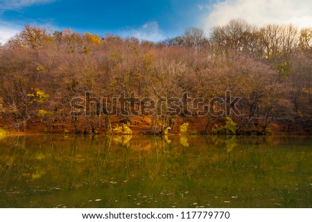 A photo of Autumn forest and sunlight