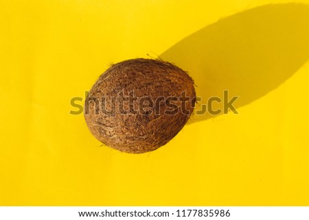 whole coconut on a yellow background