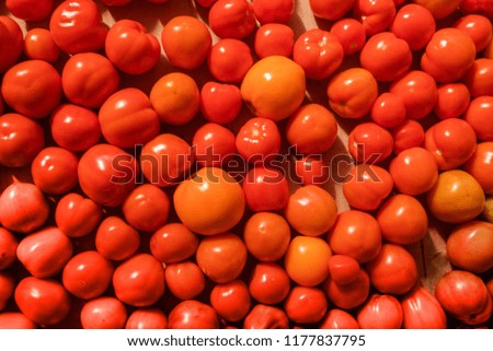 group of fresh tomatoes. red cherry tomatoes closeup top view. small tomatoes harvest