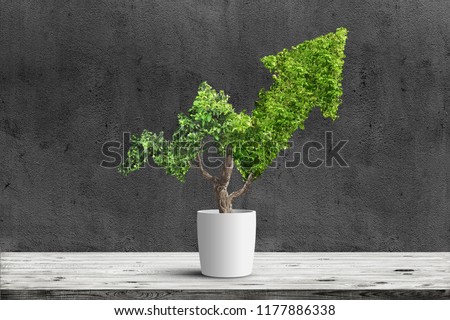 Potted green plant grows up in arrow shape over dark background. Concept business image