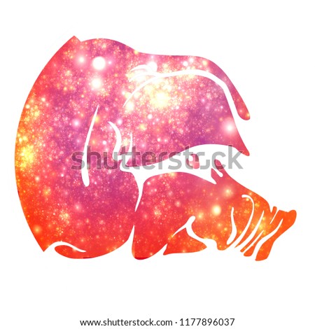 Silhouette of pig head with stars of universe space inside isolated on white background. Bright template for graphic design arts.