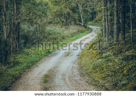 Summer Forest Road. Gravel Forest Road. Nature Collection. Vintage process