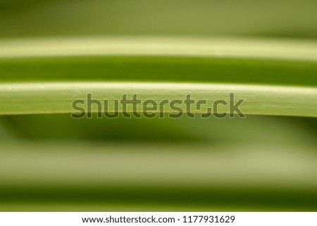 green background with lines                               