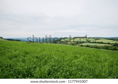 A view of the green country agricultural fields with a forest in the background on a cloudy day, Germany