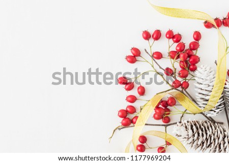 Сhristmas branches with red berries and decoration on a light background