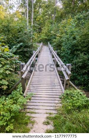 A wooden bridge in the green forest. Autumn landscape. Sigulda, Latvia