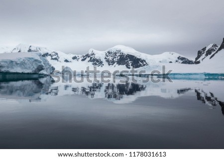 icecaps in the Antarctica with iceberg in the ocean swimming around and melting in the sea