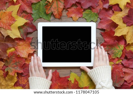Female hands in a sweater use the tablet on a table with autumn leaves. Top view