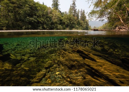 Over and Under picture of a river during a vibrant sunny summer day. Taken near Tofino and Ucluelet, Vancouver Island, BC, Canada.